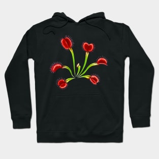 Live Venus Fly Trap Plant Large Carnivorous Plant Gift Hoodie